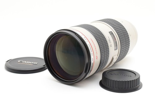 Quasi mint canon ef - mint+++],