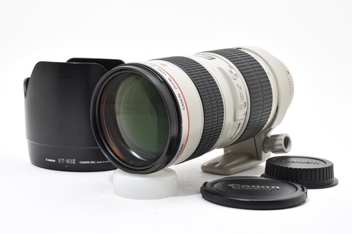 Canon 200mm 8 l usm - canon, ef